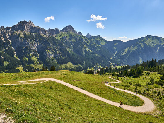 Forstweg nach Rauth