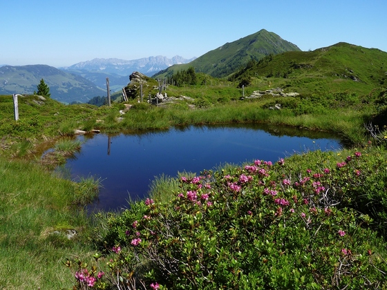 Etappe 3 führt an einem kleinen Moor vorbei