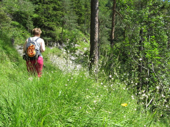 Grasenbergweg