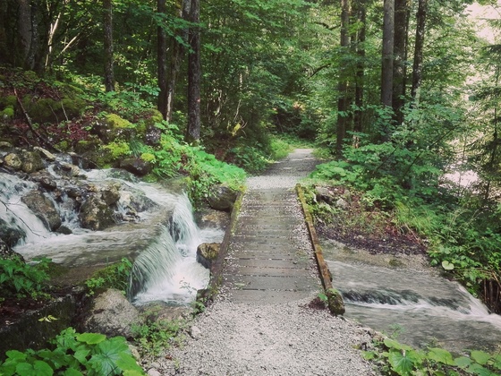 Wildenbachschlucht