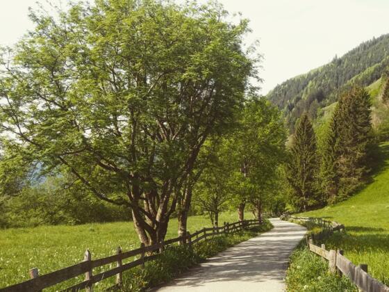 Rad- und Wanderweg