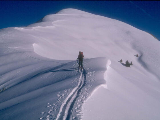 Die letzten Meter zum Gipfel