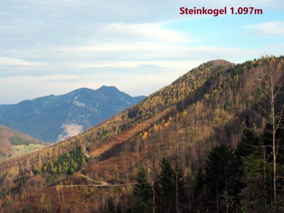Steinkogel Hauptgipfel "neu Steinmüllerkogel" mit neuem Kreuz 2023.