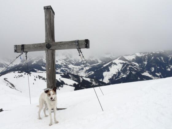 Klingspitze 1.988 m