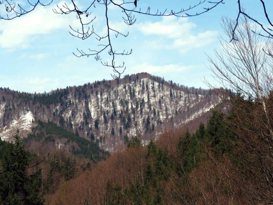 Angerlgupf 1.185m von Osten