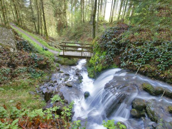 Der rauschende Talbach