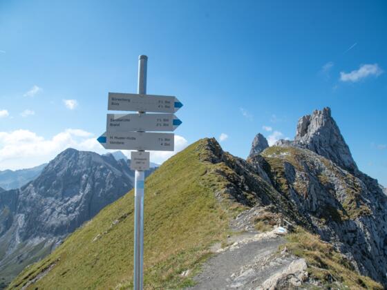 Zimbajoch