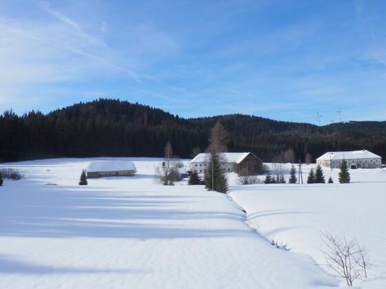 Dürnau im Winter ~800m