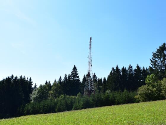 Der Namensgeber, Fernseh- und Radiosender