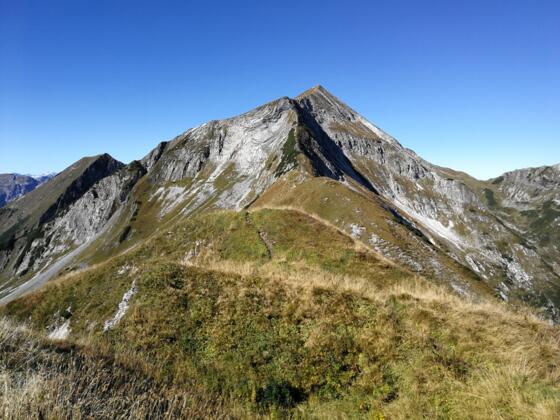 Vom Bärenstaffl - über den Ostgrat auf die Steinfeldspitze