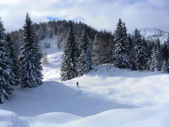 Schafelberg- Vorgipfel und Kirchberg