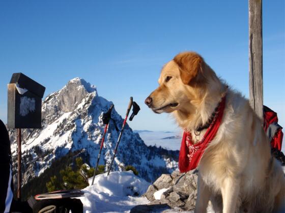Steineck 1418m