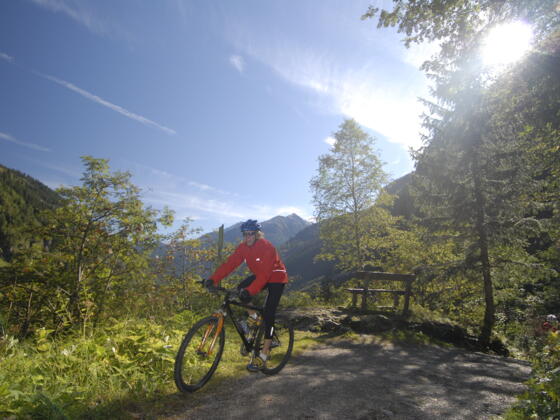 MTB Gastein