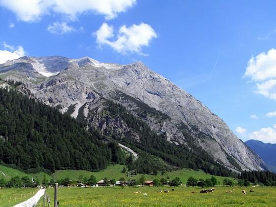 Engalm (27.06.2010)