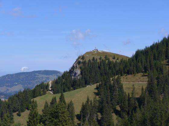 Neunerköpfle