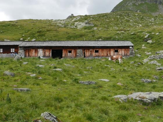 Oberseitalm (nicht mehr genutzt) 2290 m