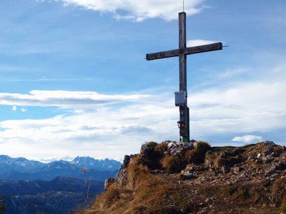 Gamskogel 1630m mit Gosaukamm