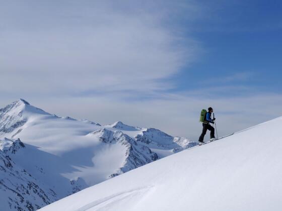 Blick vom Saykogel auf den Similaun