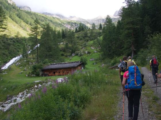 Auf bequemer Forststrasse durch das Rotbachtal , vorbei an Almen und Hütten.