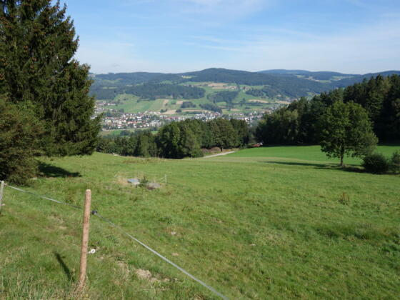 Blick auf St. Oswald bei Freistadt beim Aufstieg