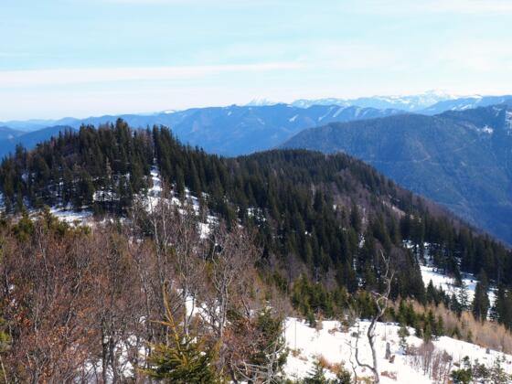 Ennsberg 1373m, vom Hühnerkogelabstieg.