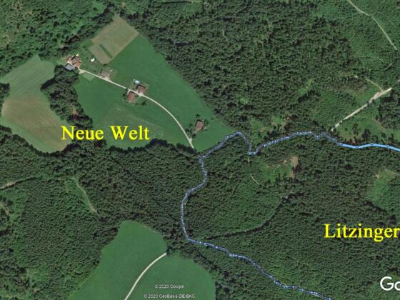 Die "Neue Welt"