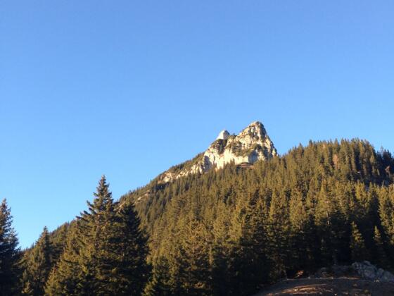 Blick auf den Rotspitz