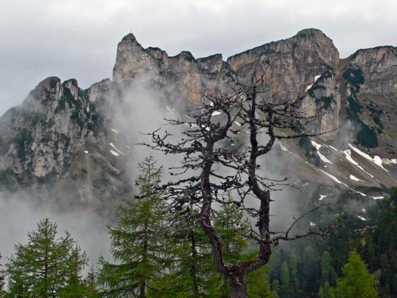 Rotspitz und Dalfazer Roßkopf