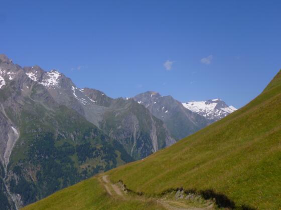 Edelweisswiesen