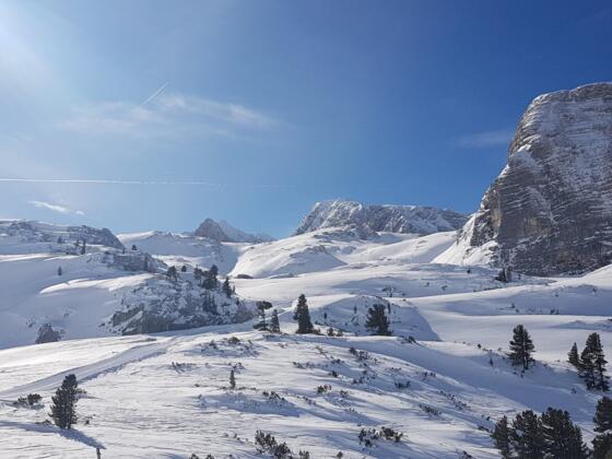 Blick kurz bevor das Wiesberghaus erreicht ist
