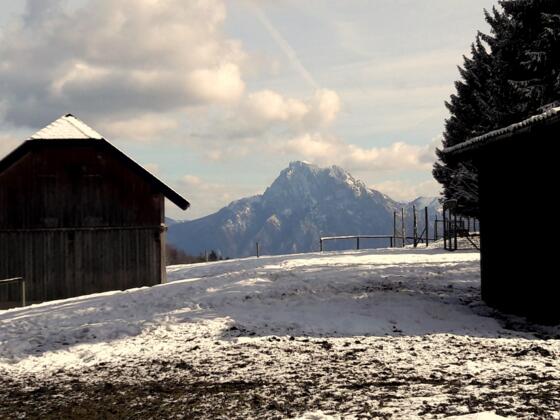 Hochkreut 959m