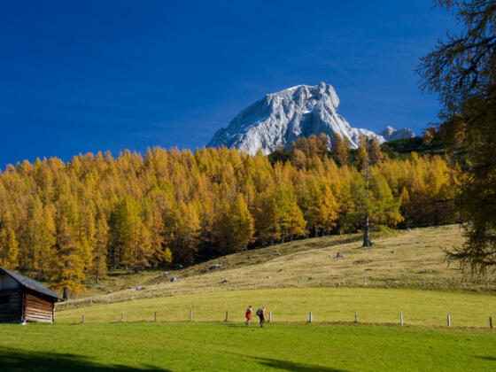Rund um den Rettenstein
