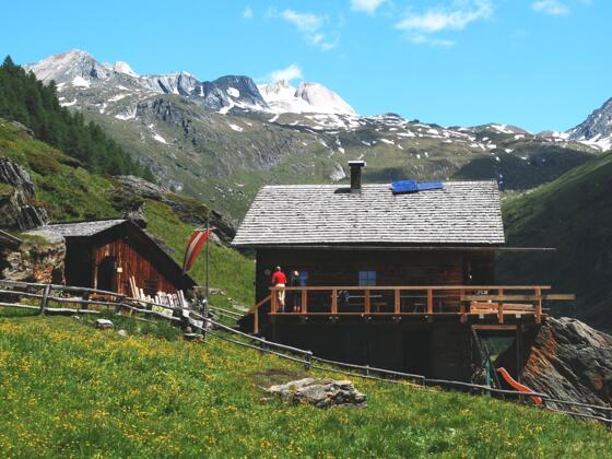 Steineralm, Blick auf Obere Steineralm mit Sudetendeutscher Hütte
