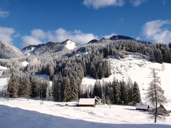 Hintersteiner Alm 1025m