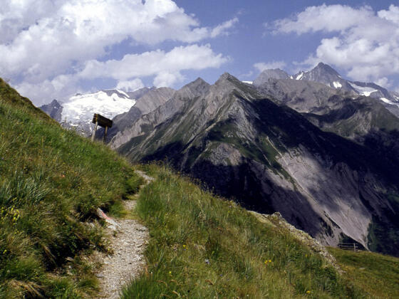 Ganotzsteig, Glocknergruppe