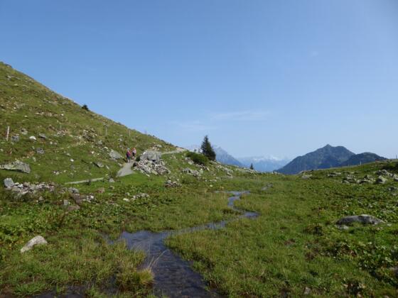 An der Wildalm zwischen Lärchfilzkogel und Wildseeloderhaus.