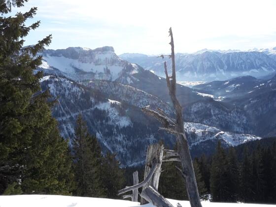 Gipfelblick
