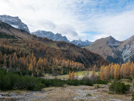 Blick vom Aufstieg in Richtung westliches Lamsenjoch zurück in Richtung Binsalm. Links der Karwendelhauptkamm