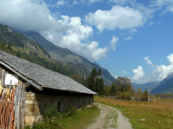 Alte Hütte am Weg