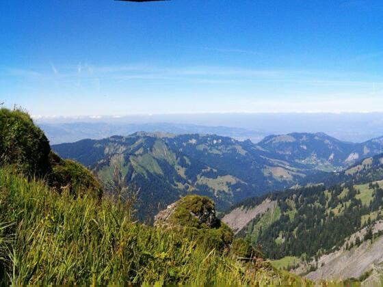 Aussicht Hoher Freschen (21. August 2013)