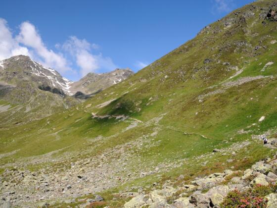 Weg zum Furglersee