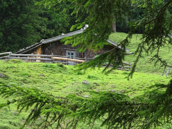 Hundalm