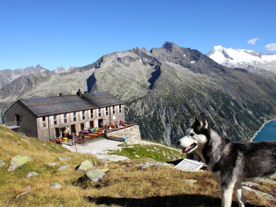 Olpererhütte