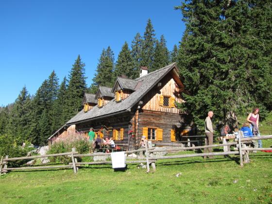 Polzalm auf der Feichtau