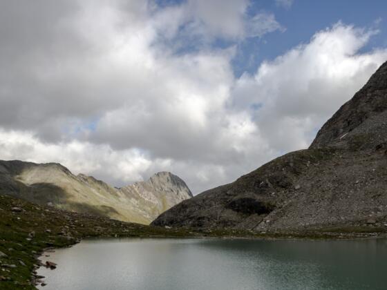 Simonysee