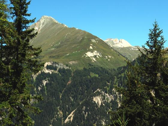Der Nussing, im Hintergrund ein Teil der Wellachköpf