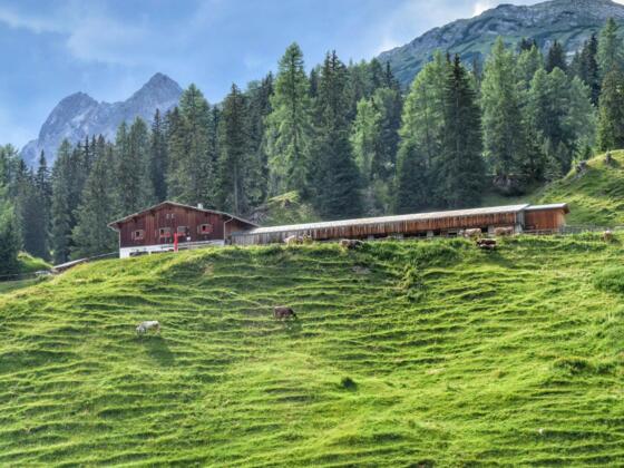 Putzen-Alpe