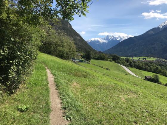 Vom Trail Blick zum Acherkogel