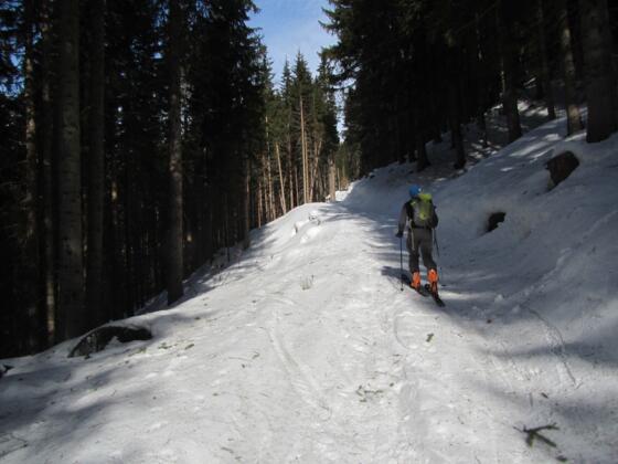 Forstweg bis zur Staudleralm