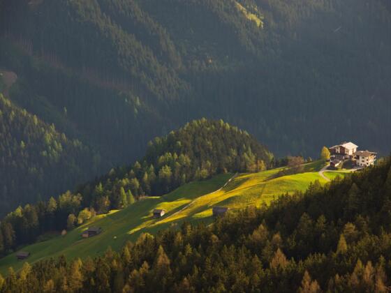 Blick zur Steinerkogl Alm